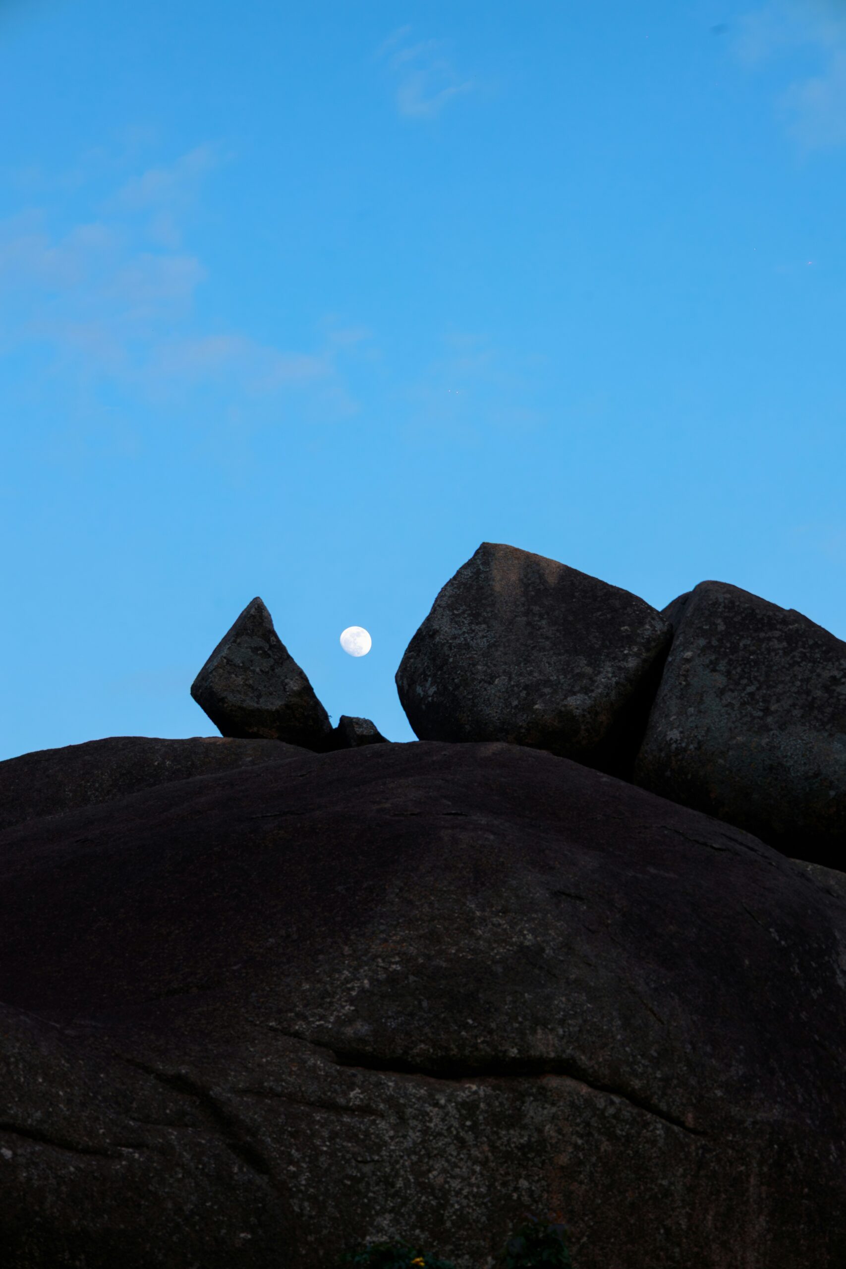 ben iwara h fibgemlj8 unsplash